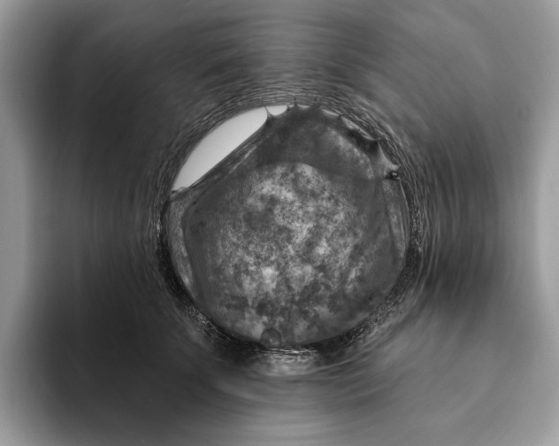 X0000093170707200710171228