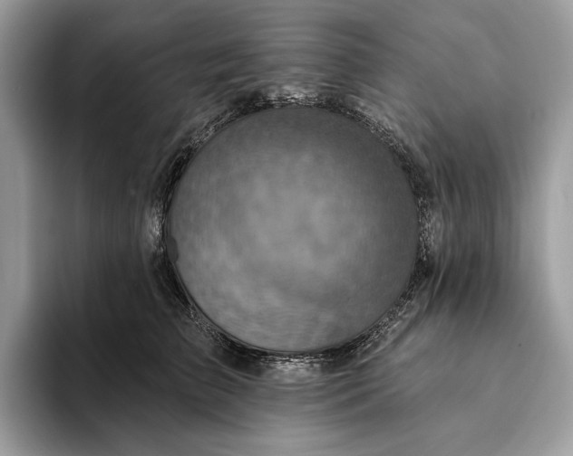 X0000093170709200710171228