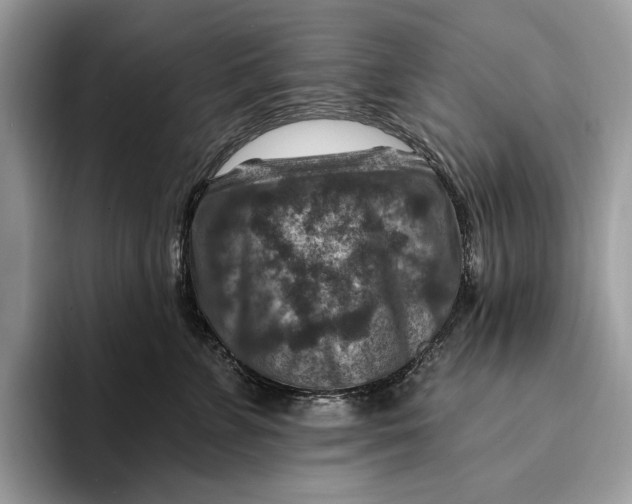 X0000093170715200710171228