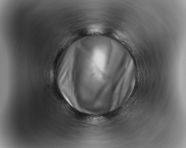 X0000093170716200710171228