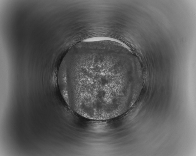 X0000093170719200710171228