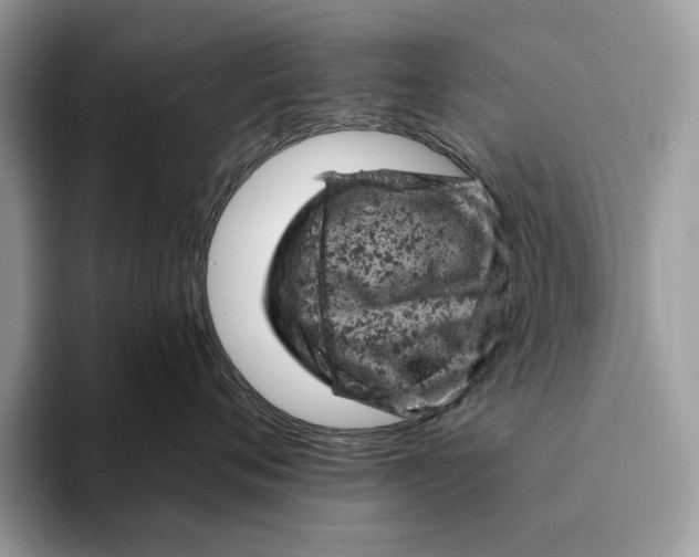 X0000093170720200710171228