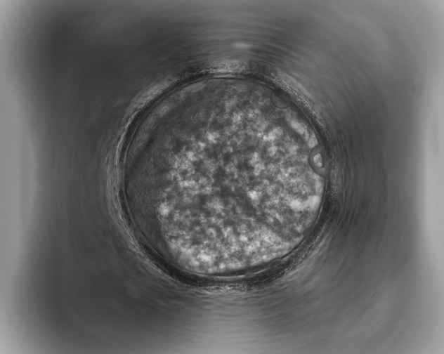 X0000093170721200710171227