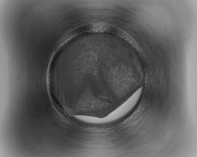 X0000093170722200710171227