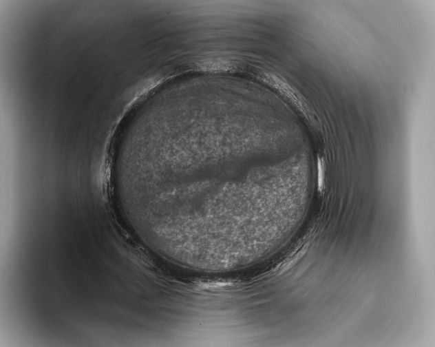 X0000093170723200710171227