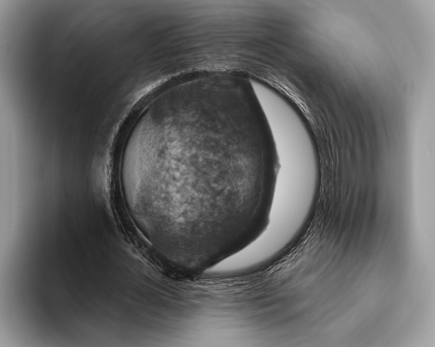 X0000093170724200710171227