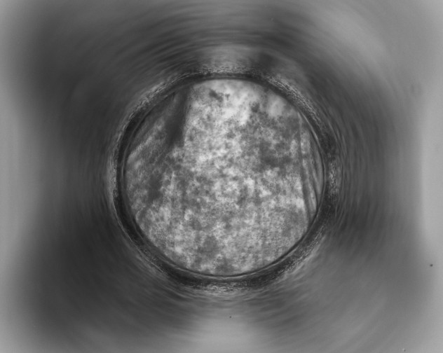 X0000093170725200710171227