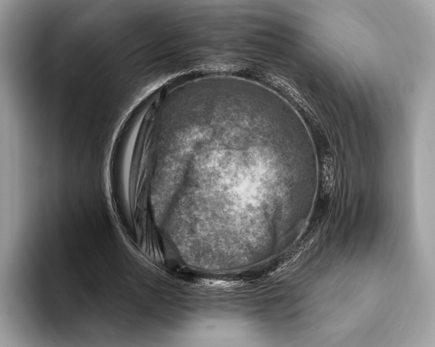 X0000093170726200710171227