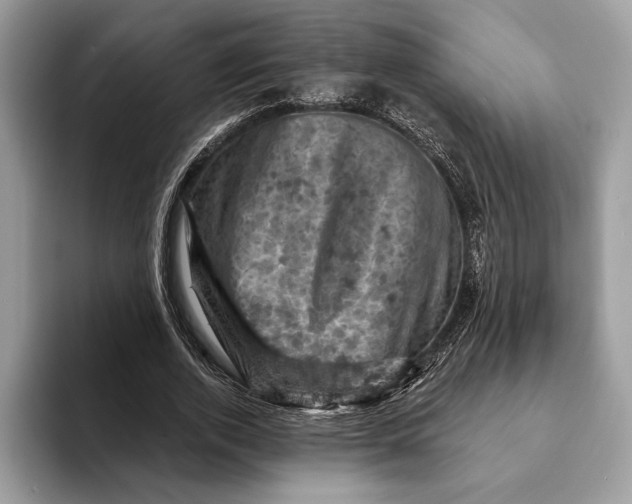 X0000093170728200710171227