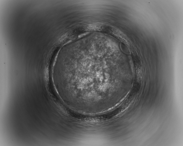 X0000093170729200710171227