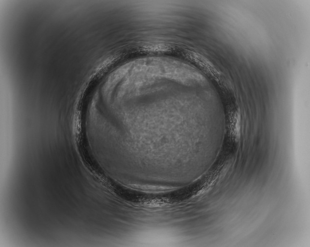 X0000093170731200710171227