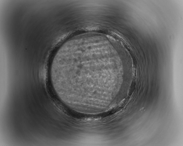 X0000093170732200710171227