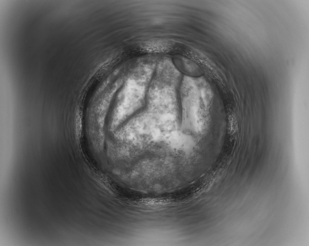 X0000093170733200710171227