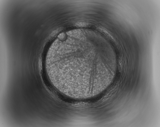 X0000093170734200710171227