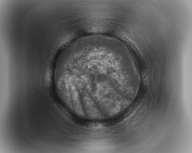 X0000093170735200710171227