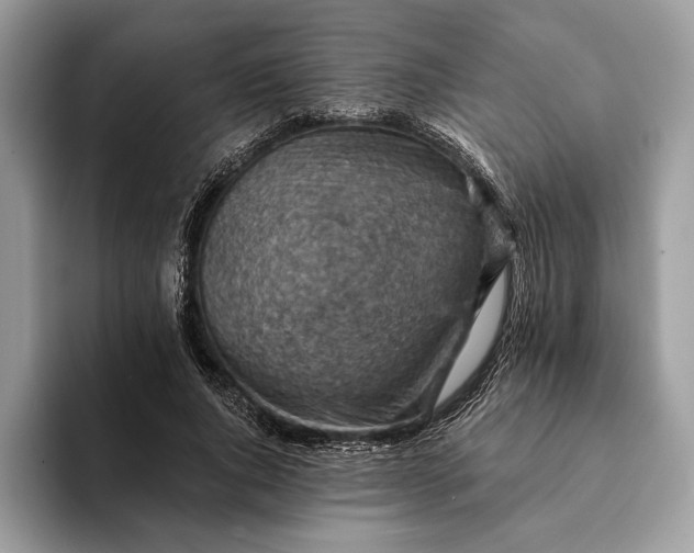 X0000093170736200710171227