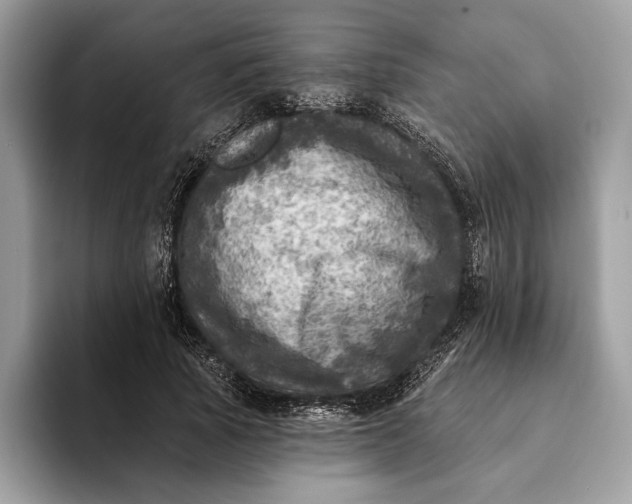 X0000093170737200710171227