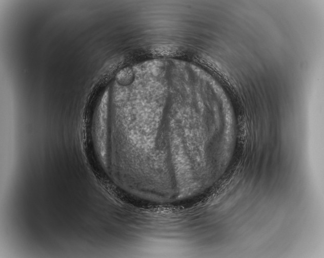 X0000093170738200710171227