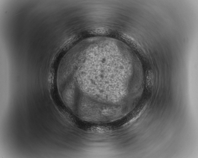 X0000093170739200710171227