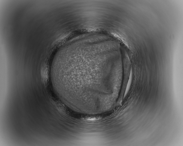 X0000093170740200710171227