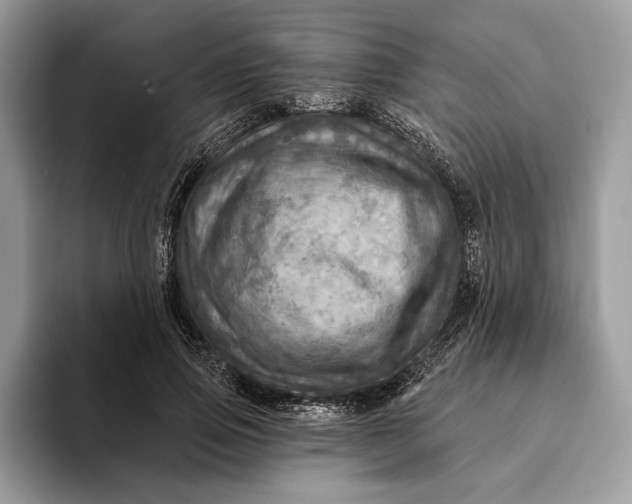 X0000093170741200710171227