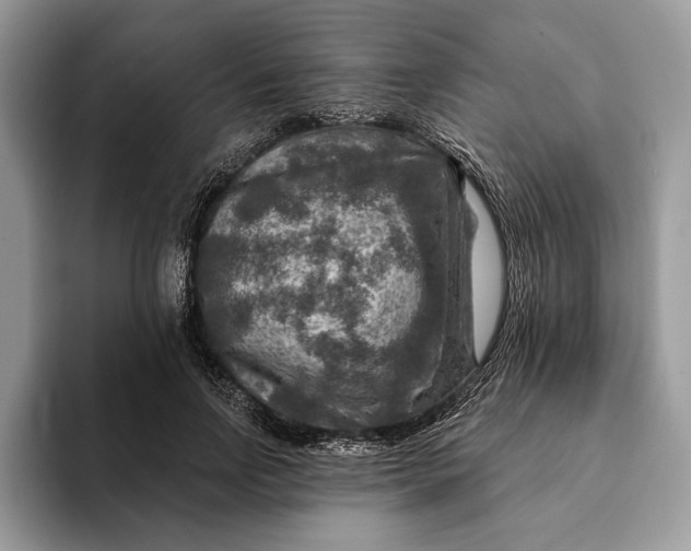 X0000093170742200710171227