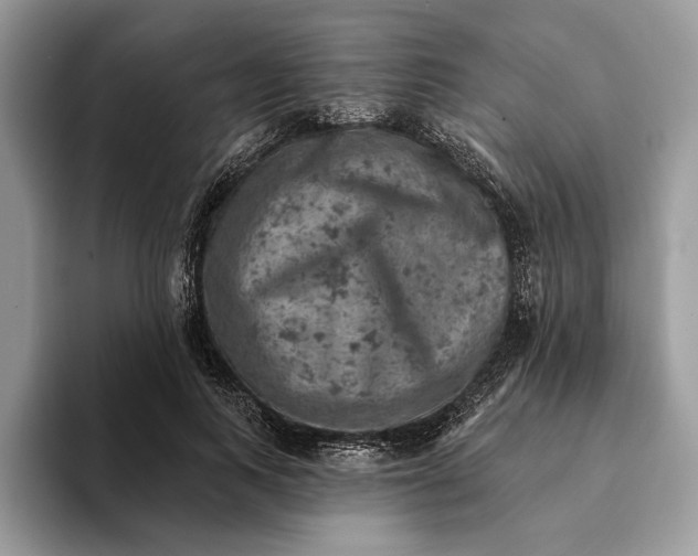 X0000093170743200710171227