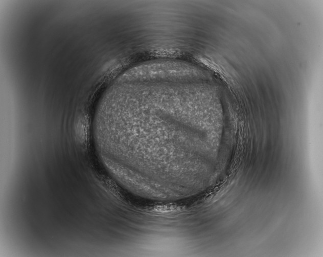 X0000093170744200710171227