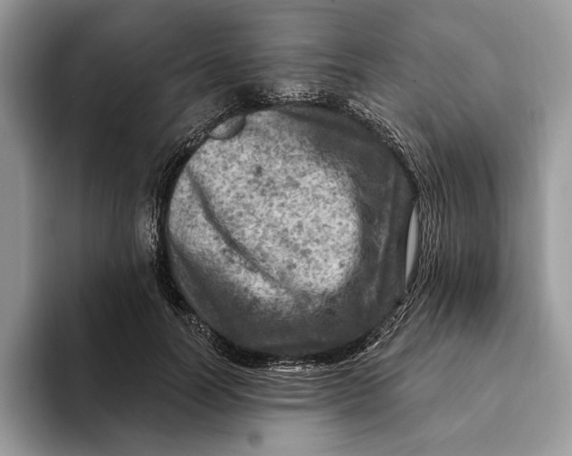 X0000093170746200710171228