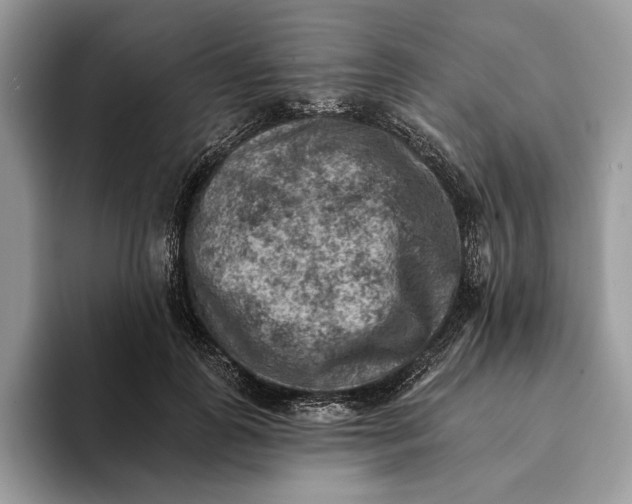 X0000093170747200710171228