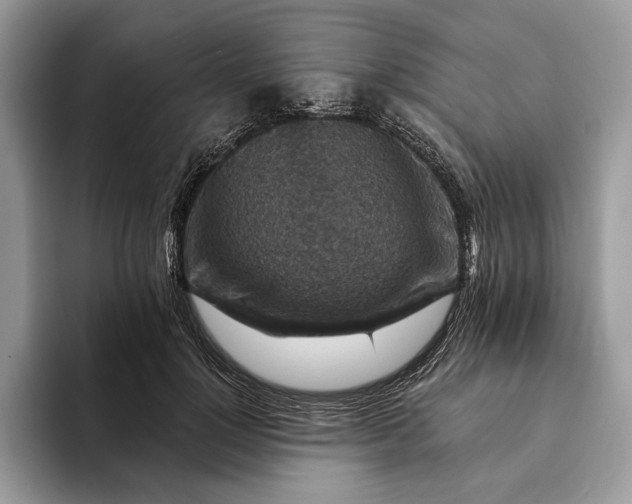 X0000093170748200710171228