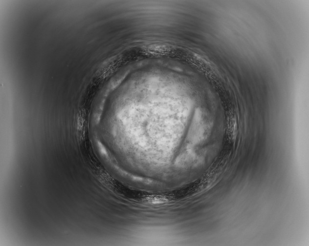 X0000093170749200710171228