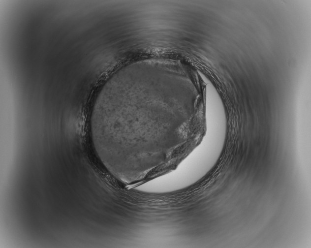 X0000093170750200710171228