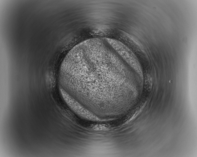 X0000093170751200710171228