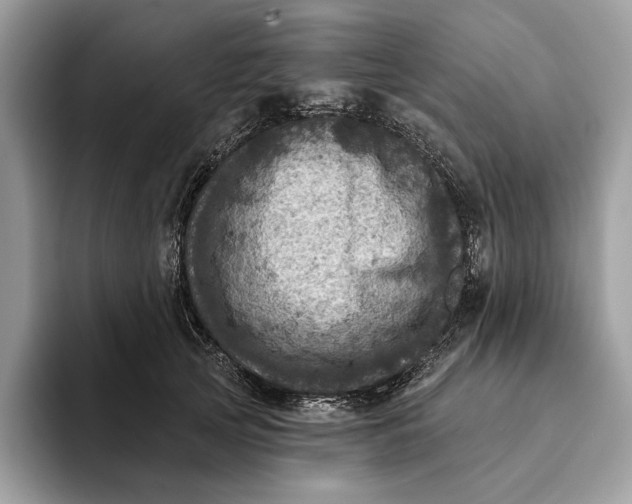 X0000093170753200710171228