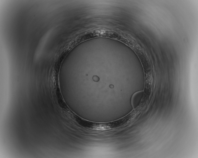 X0000093170754200710171228