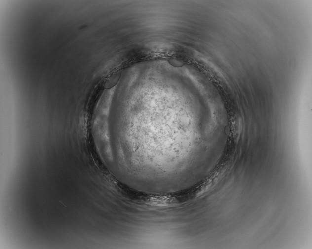 X0000093170757200710171228