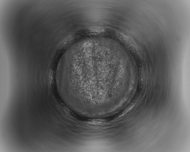 X0000093170758200710171228