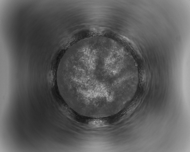 X0000093170759200710171228