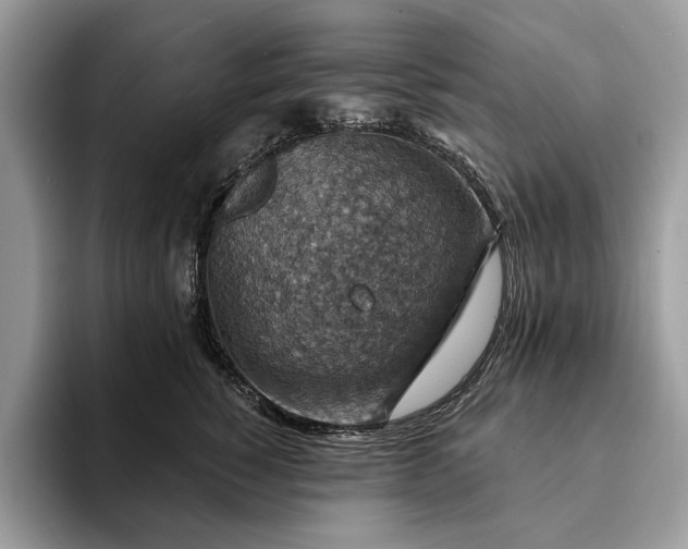 X0000093170760200710171228