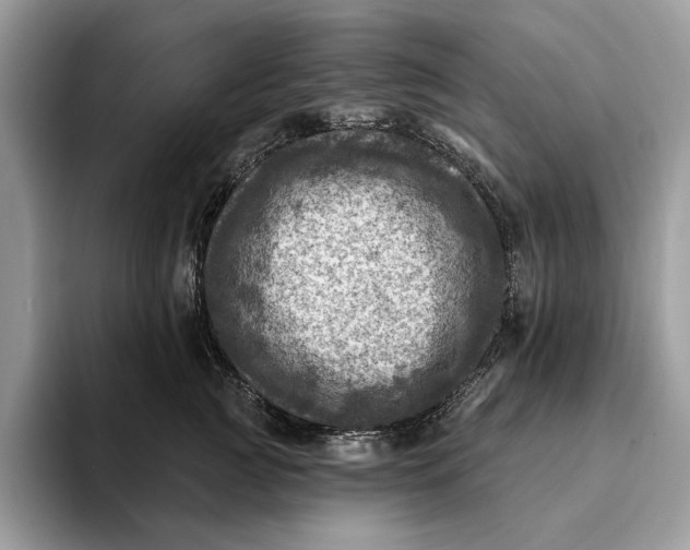 X0000093170761200710171228