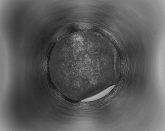 X0000093170762200710171228