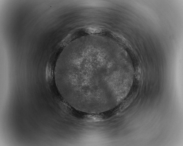 X0000093170763200710171228