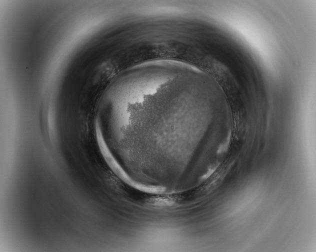 X0000093170765200710171228