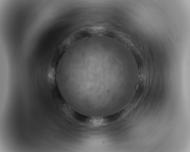 X0000093170767200710171228