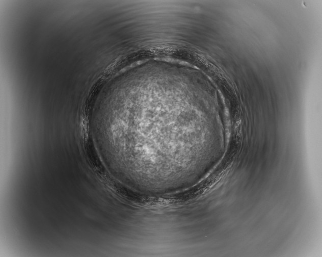 X0000093170772200710171227