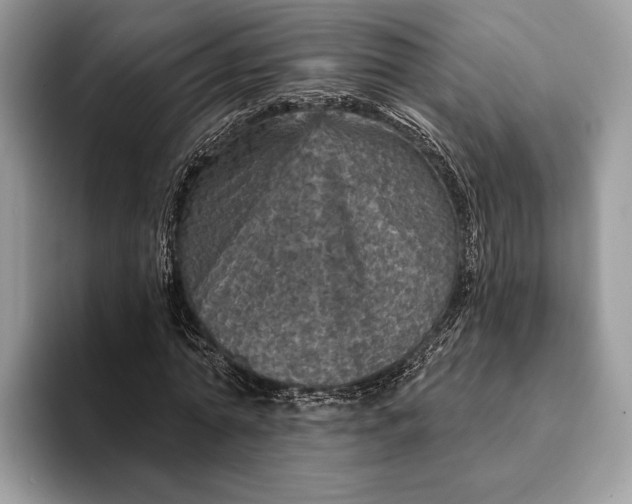 X0000093170774200710171227