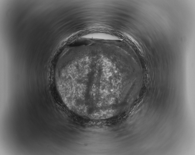 X0000093170775200710171227