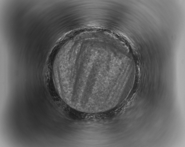 X0000093170776200710171227