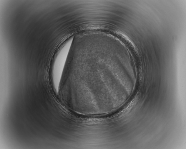 X0000093170777200710171227